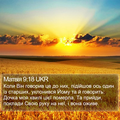 Матвія 9:18 UKR Bible Verse Image