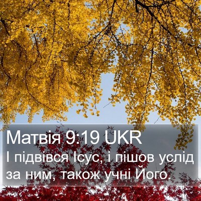 Матвія 9:19 UKR Bible Verse Image