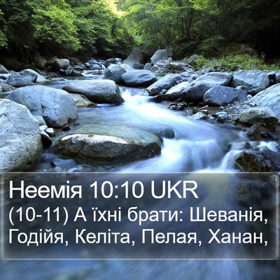 Неемія 10:10 UKR Bible Verse Image