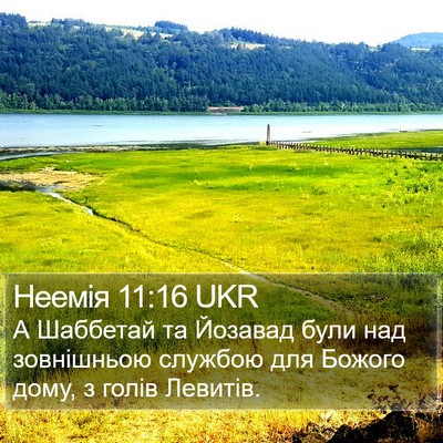Неемія 11:16 UKR Bible Verse Image