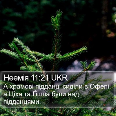 Неемія 11:21 UKR Bible Verse Image