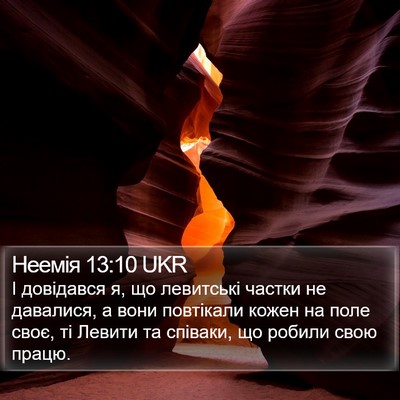 Неемія 13:10 UKR Bible Verse Image