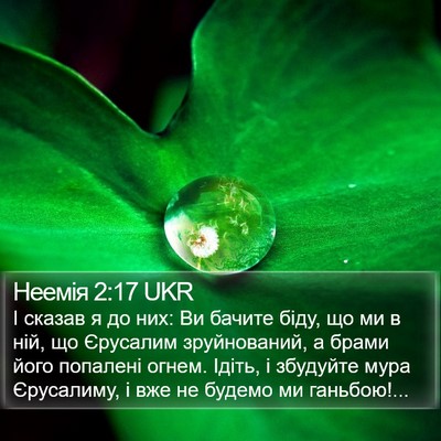 Неемія 2:17 UKR Bible Verse Image