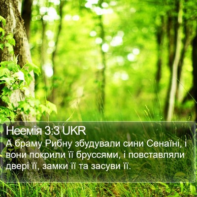 Неемія 3:3 UKR Bible Verse Image
