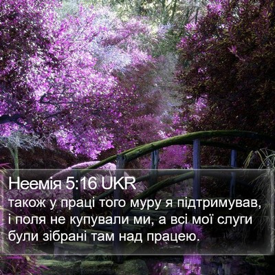 Неемія 5:16 UKR Bible Verse Image