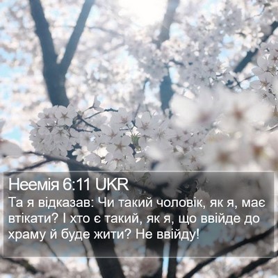 Неемія 6:11 UKR Bible Verse Image