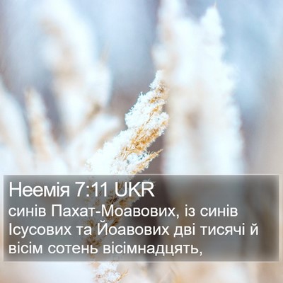 Неемія 7:11 UKR Bible Verse Image