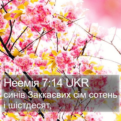Неемія 7:14 UKR Bible Verse Image