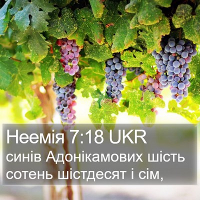 Неемія 7:18 UKR Bible Verse Image