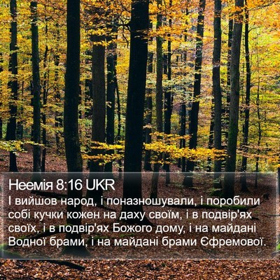 Неемія 8:16 UKR Bible Verse Image