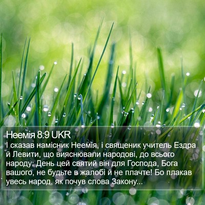 Неемія 8:9 UKR Bible Verse Image