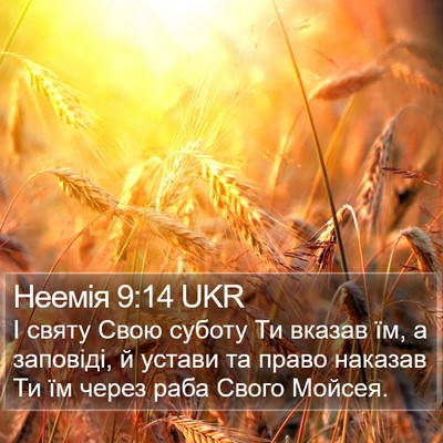 Неемія 9:14 UKR Bible Verse Image