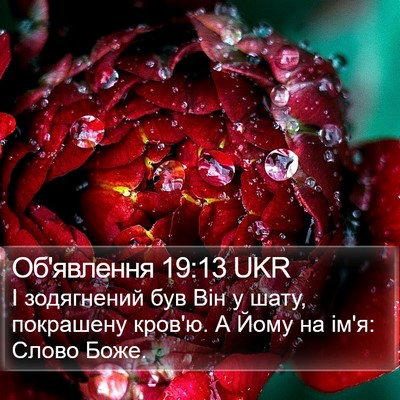 Об'явлення 19:13 UKR Bible Verse Image