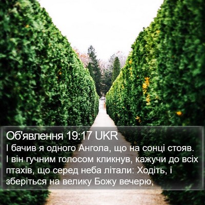 Об'явлення 19:17 UKR Bible Verse Image