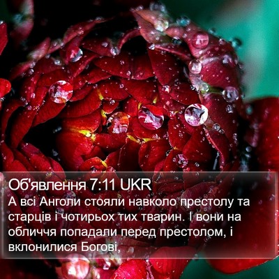 Об'явлення 7:11 UKR Bible Verse Image
