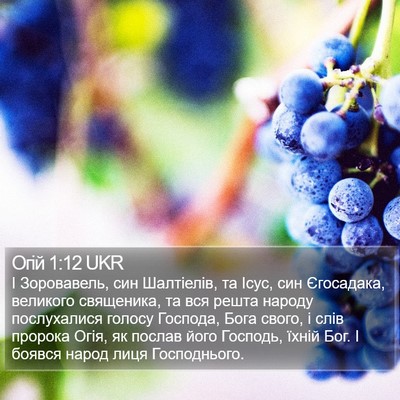 Огій 1:12 UKR Bible Verse Image