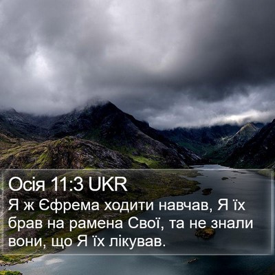 Осія 11:3 UKR Bible Verse Image