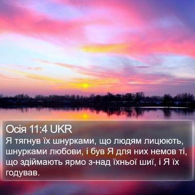 Осія 11:4 UKR Bible Verse Image
