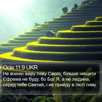 Осія 11:9 UKR Bible Verse Image
