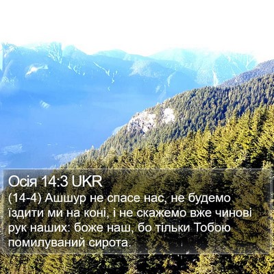 Осія 14:3 UKR Bible Verse Image