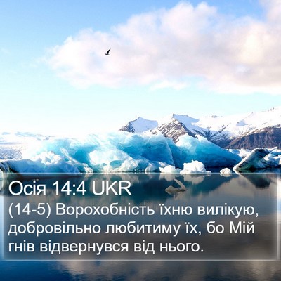 Осія 14:4 UKR Bible Verse Image