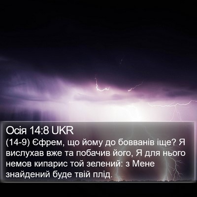 Осія 14:8 UKR Bible Verse Image