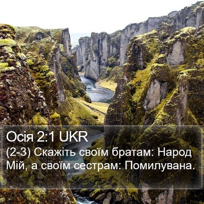 Осія 2:1 UKR Bible Verse Image