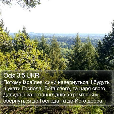 Осія 3:5 UKR Bible Verse Image