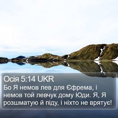 Осія 5:14 UKR Bible Verse Image