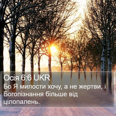 Осія 6:6 UKR Bible Verse Image