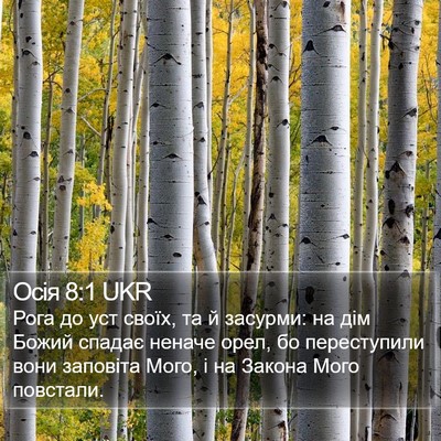 Осія 8:1 UKR Bible Verse Image