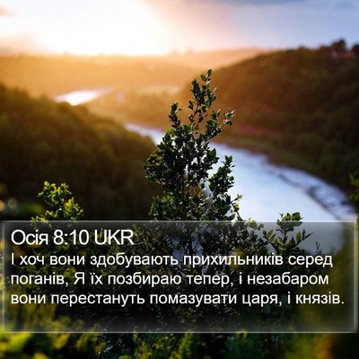 Осія 8:10 UKR Bible Verse Image