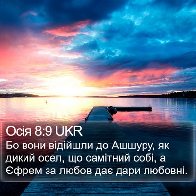Осія 8:9 UKR Bible Verse Image