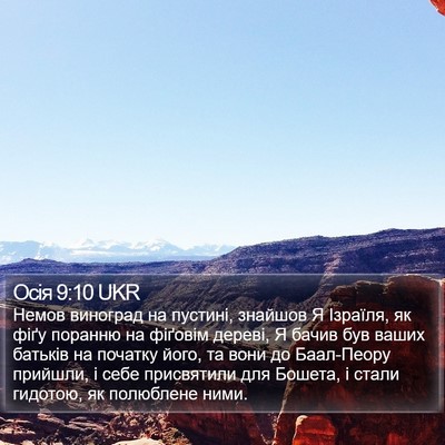 Осія 9:10 UKR Bible Verse Image