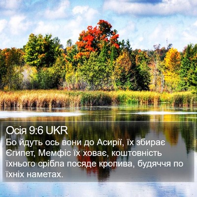 Осія 9:6 UKR Bible Verse Image