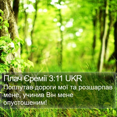 Плач Єремії 3:11 UKR Bible Verse Image