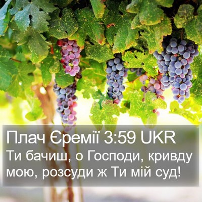 Плач Єремії 3:59 UKR Bible Verse Image
