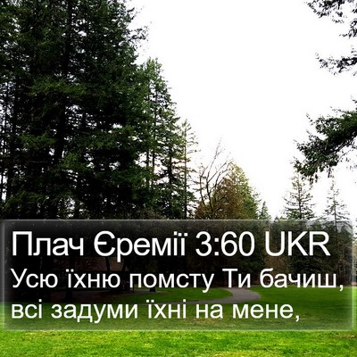 Плач Єремії 3:60 UKR Bible Verse Image
