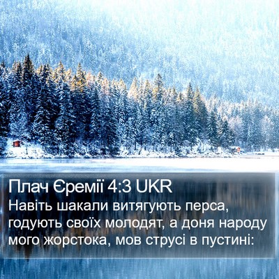 Плач Єремії 4:3 UKR Bible Verse Image