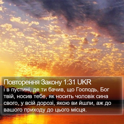 Повторення Закону 1:31 UKR Bible Verse Image
