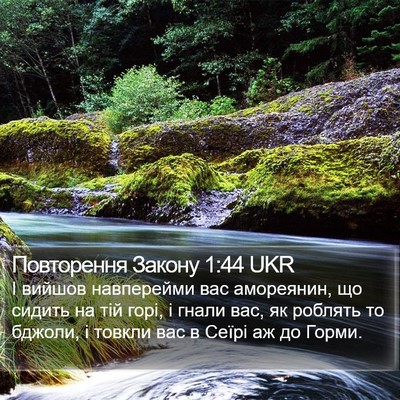 Повторення Закону 1:44 UKR Bible Verse Image