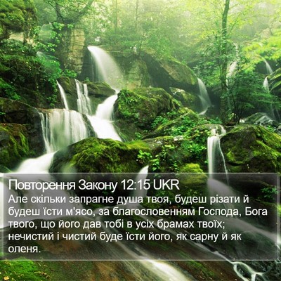 Повторення Закону 12:15 UKR Bible Verse Image