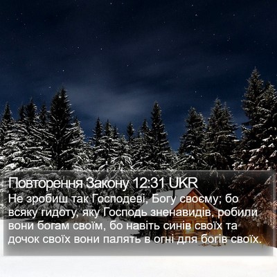 Повторення Закону 12:31 UKR Bible Verse Image