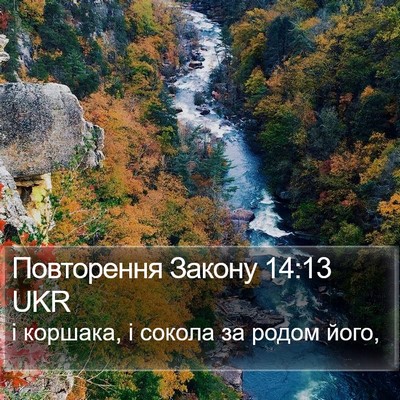 Повторення Закону 14:13 UKR Bible Verse Image