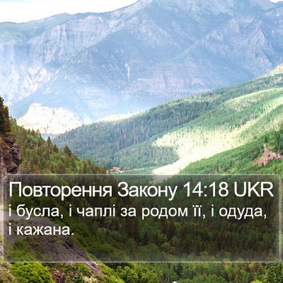 Повторення Закону 14:18 UKR Bible Verse Image