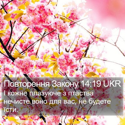Повторення Закону 14:19 UKR Bible Verse Image