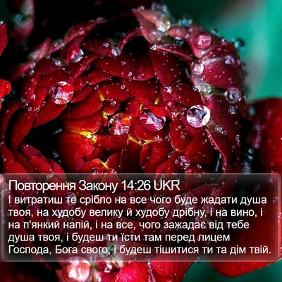 Повторення Закону 14:26 UKR Bible Verse Image