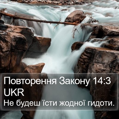 Повторення Закону 14:3 UKR Bible Verse Image