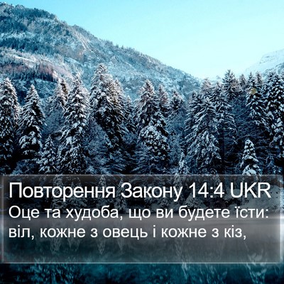 Повторення Закону 14:4 UKR Bible Verse Image
