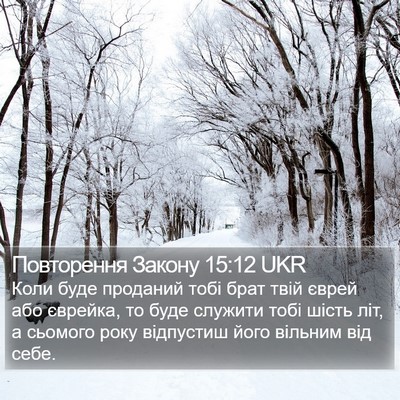 Повторення Закону 15:12 UKR Bible Verse Image